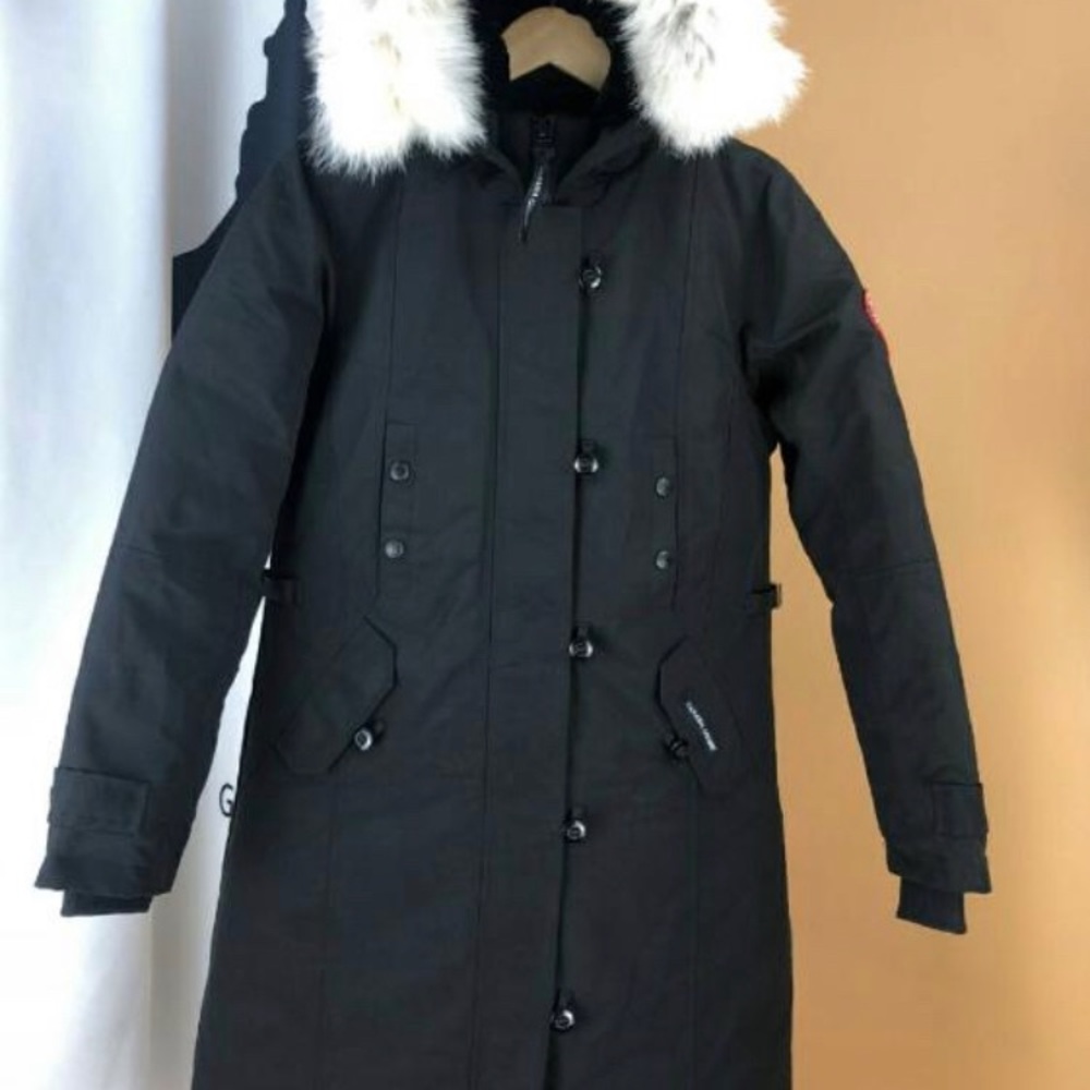 Canada goose